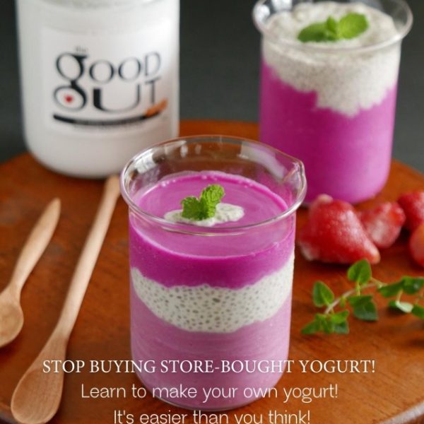 Yoghurt Making Class with Gilda Chang, Owner of The Good Gut